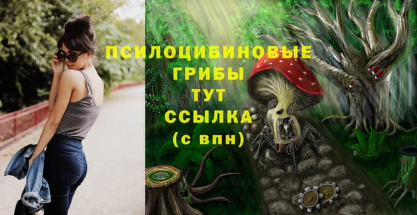 твердый Пролетарск